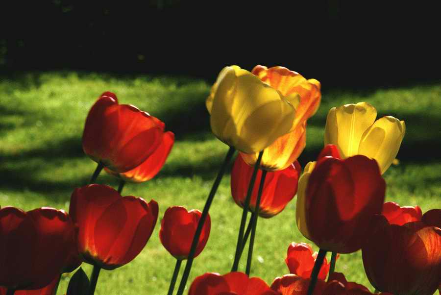 People & Lifestyles - Photodisc ></a>
<script language=JavaScript> 
  var txt = 