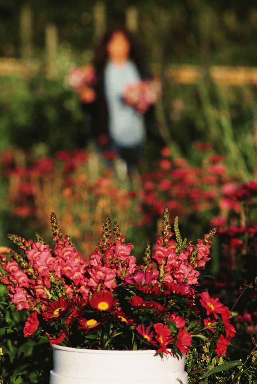 People & Lifestyles - Photodisc ></a>
<script language=JavaScript> 
  var txt = 