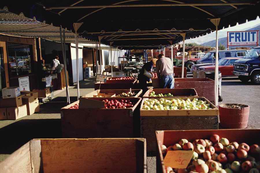 People & Lifestyles - Photodisc ></a>
<script language=JavaScript> 
  var txt = 