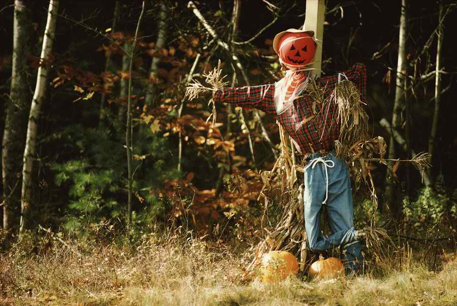 People & Lifestyles - Photodisc ></a>
<script language=JavaScript> 
  var txt = 