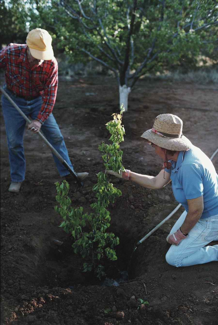 People & Lifestyles - Photodisc ></a>
<script language=JavaScript> 
  var txt = 