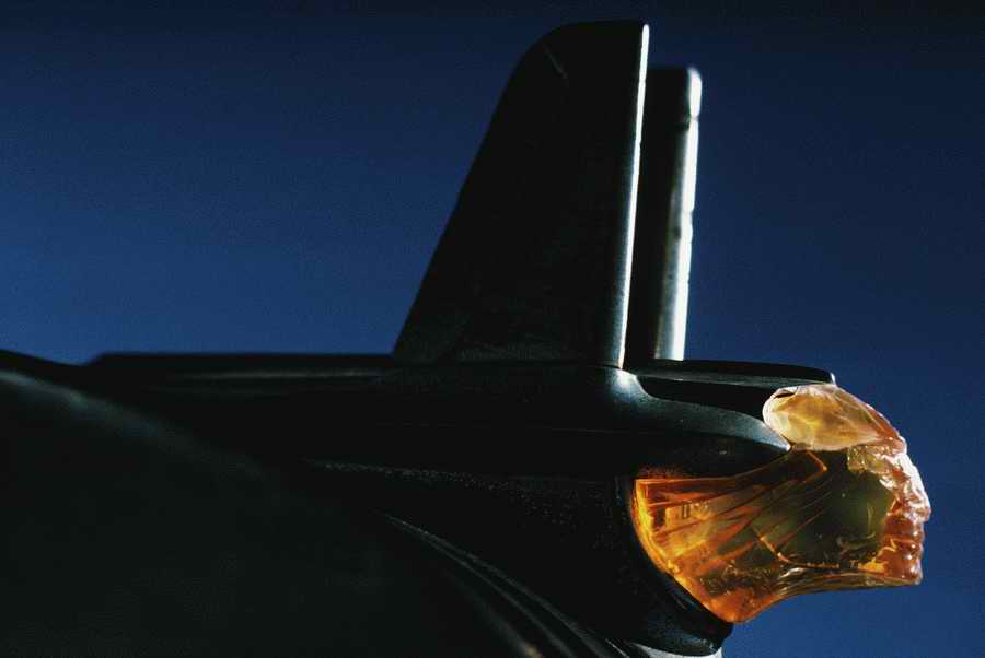 People & Lifestyles - Photodisc ></a>
<script language=JavaScript> 
  var txt = 