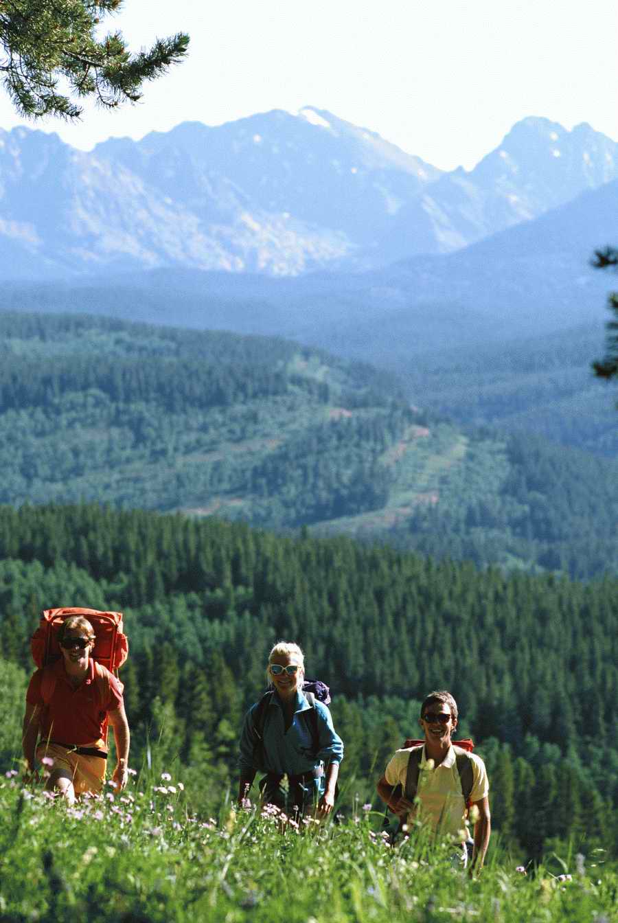 People & Lifestyles - Photodisc ></a>
<script language=JavaScript> 
  var txt = 