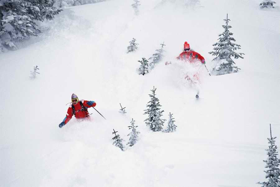 People & Lifestyles - Photodisc ></a>
<script language=JavaScript> 
  var txt = 