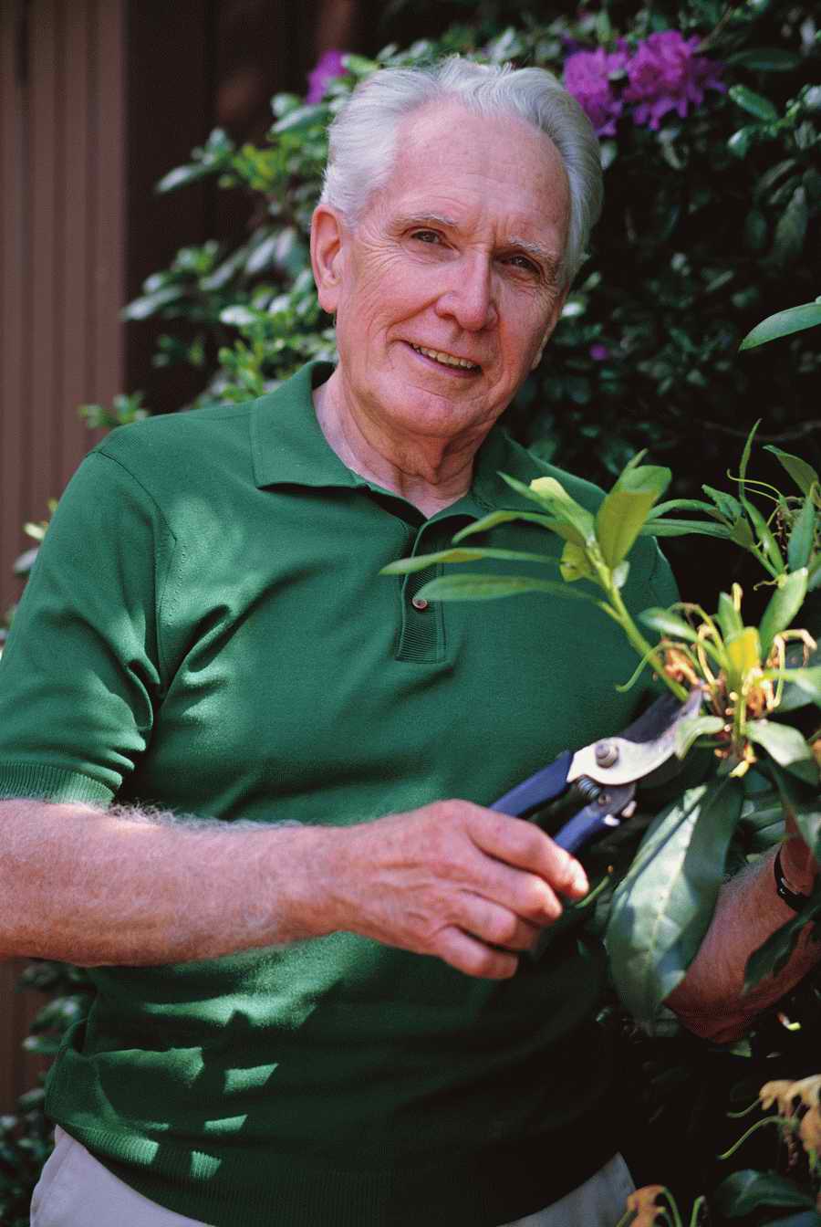 People & Lifestyles - Photodisc ></a>
<script language=JavaScript> 
  var txt = 