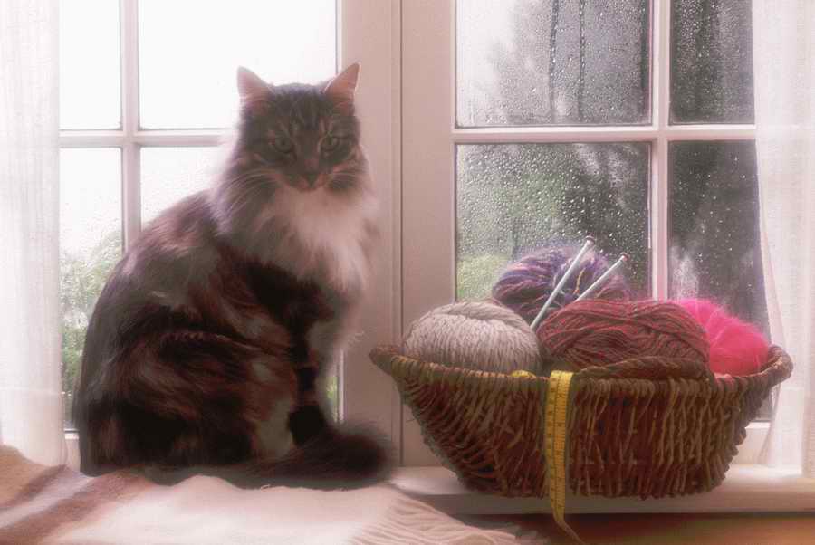 People & Lifestyles - Photodisc ></a>
<script language=JavaScript> 
  var txt = 