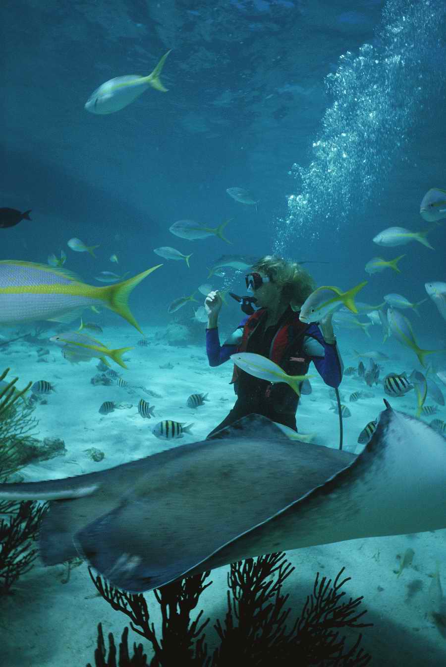 People & Lifestyles - Photodisc ></a>
<script language=JavaScript> 
  var txt = 