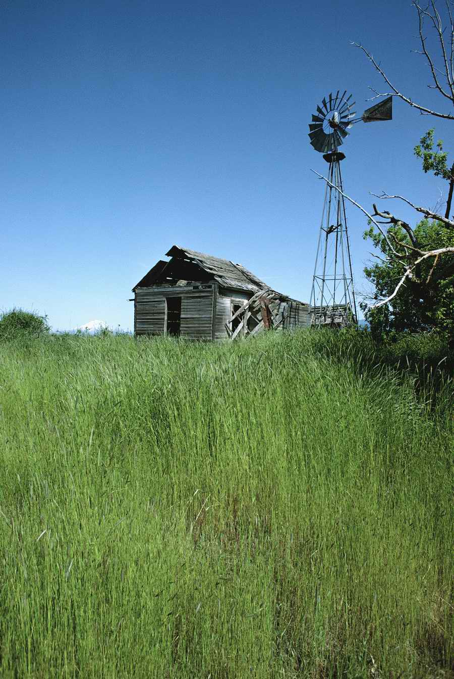 People & Lifestyles - Photodisc ></a>
<script language=JavaScript> 
  var txt = 