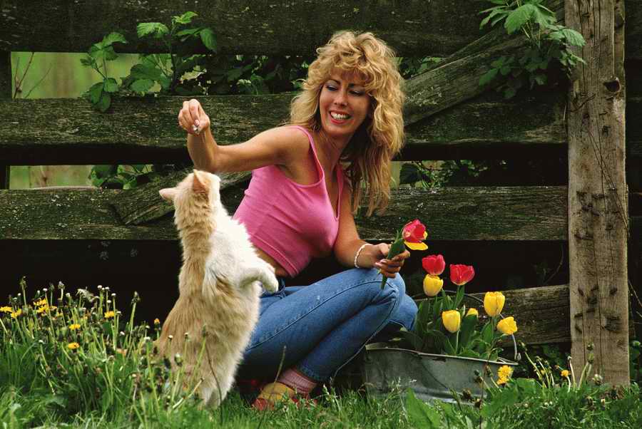 People & Lifestyles - Photodisc ></a>
<script language=JavaScript> 
  var txt = 