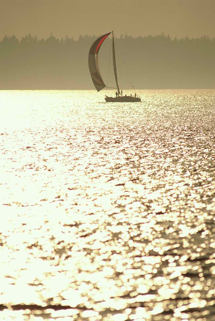 People & Lifestyles - Photodisc ></a>
<script language=JavaScript> 
  var txt = 