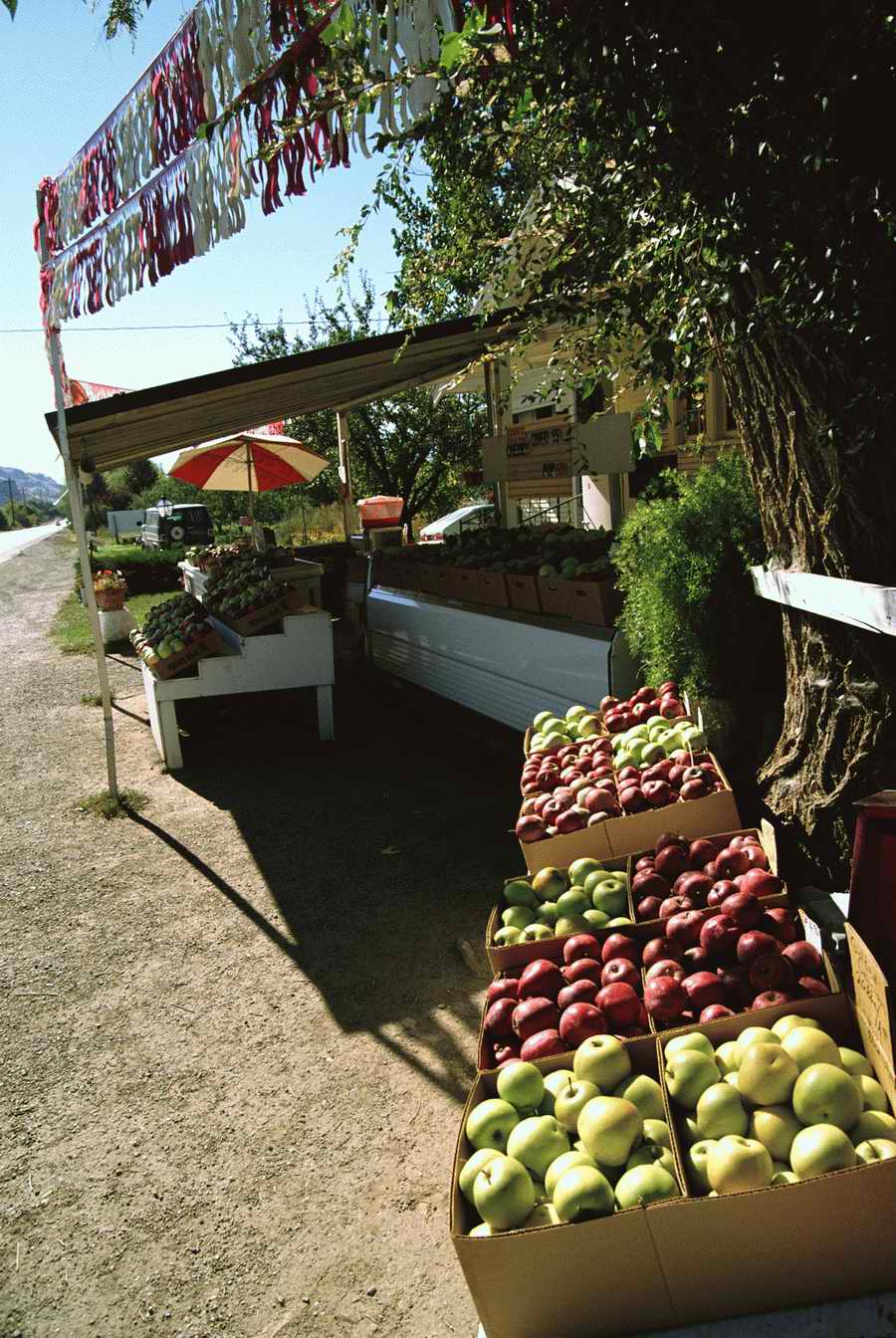 People & Lifestyles - Photodisc ></a>
<script language=JavaScript> 
  var txt = 