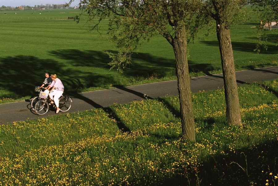 People & Lifestyles - Photodisc ></a>
<script language=JavaScript> 
  var txt = 