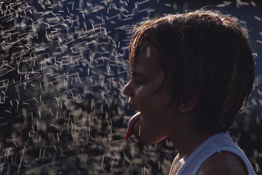 People & Lifestyles - Photodisc ></a>
<script language=JavaScript> 
  var txt = 