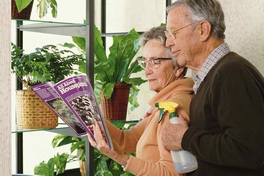 People & Lifestyles - Photodisc ></a>
<script language=JavaScript> 
  var txt = 