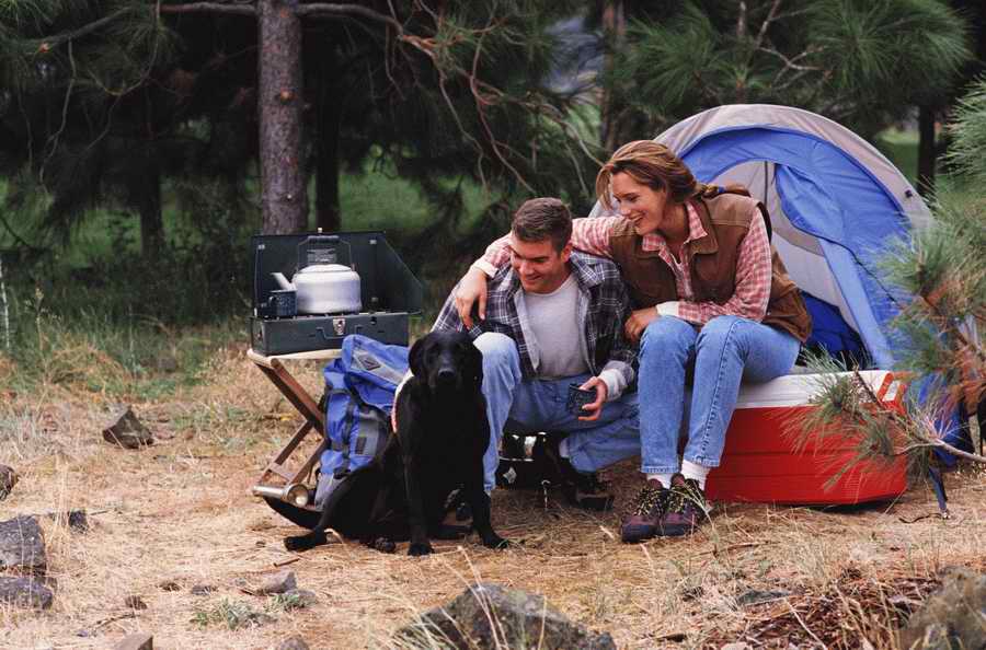 People, Lifestyles & Vacations - Photodisc ></a>
<script language=JavaScript> 
  var txt = 