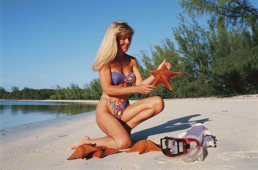 People, Lifestyles & Vacations - Photodisc ></a>
<script language=JavaScript> 
  var txt = 