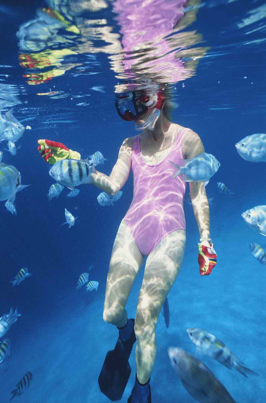 People, Lifestyles & Vacations - Photodisc ></a>
<script language=JavaScript> 
  var txt = 
