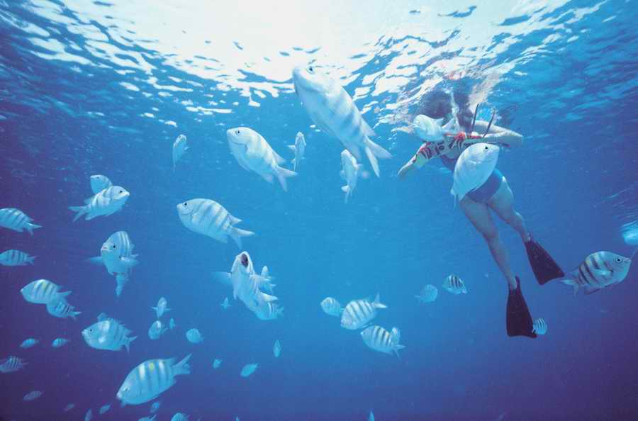 People, Lifestyles & Vacations - Photodisc ></a>
<script language=JavaScript> 
  var txt = 