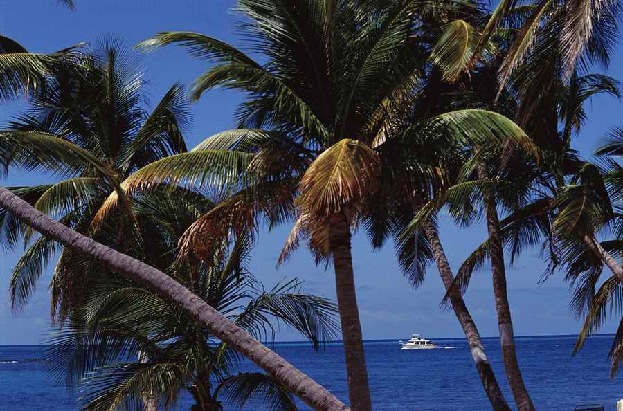 People, Lifestyles & Vacations - Photodisc ></a>
<script language=JavaScript> 
  var txt = 