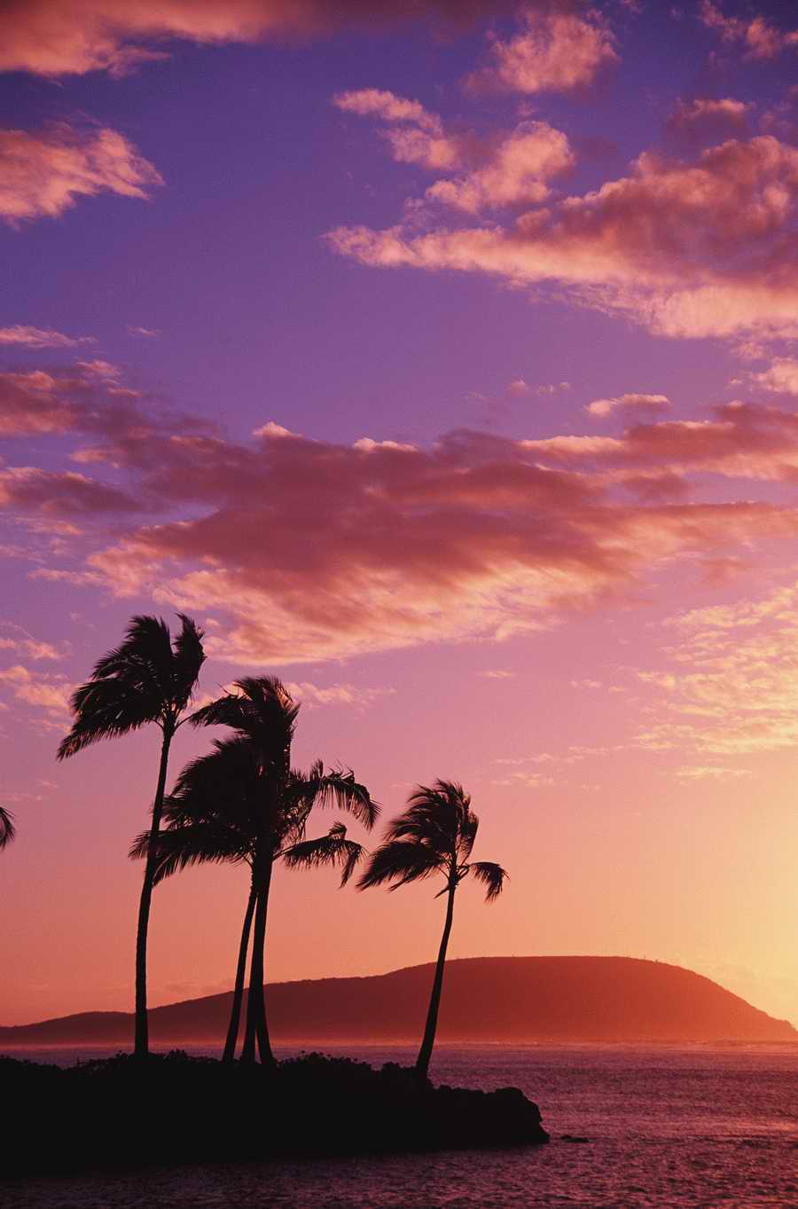 People, Lifestyles & Vacations - Photodisc ></a>
<script language=JavaScript> 
  var txt = 