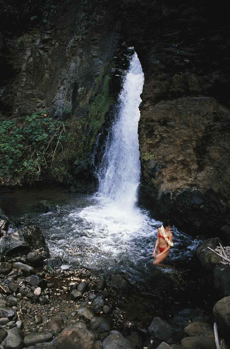 People, Lifestyles & Vacations - Photodisc ></a>
<script language=JavaScript> 
  var txt = 