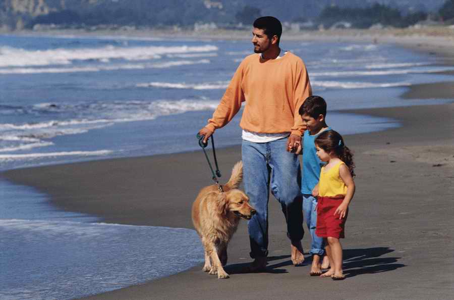 People, Lifestyles & Vacations - Photodisc ></a>
<script language=JavaScript> 
  var txt = 