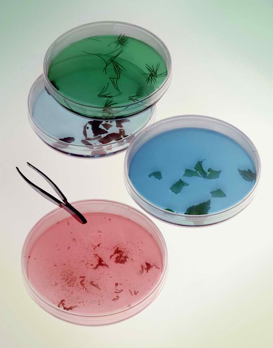 Professional Science - Photodisc ></a>
<script language=JavaScript> 
  var txt = 