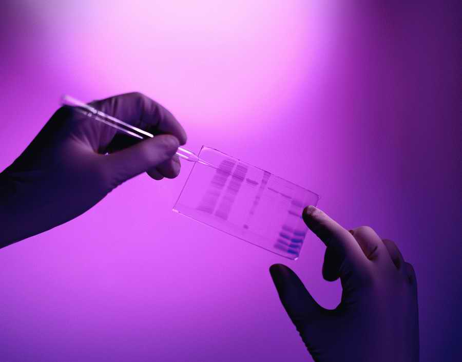 Professional Science - Photodisc ></a>
<script language=JavaScript> 
  var txt = 