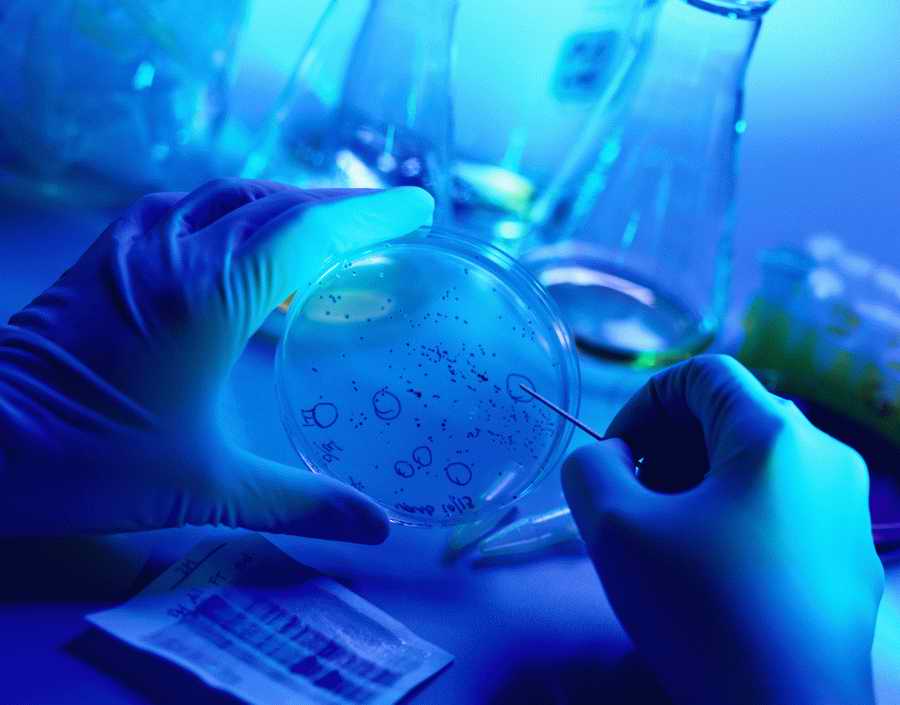 Professional Science - Photodisc ></a>
<script language=JavaScript> 
  var txt = 