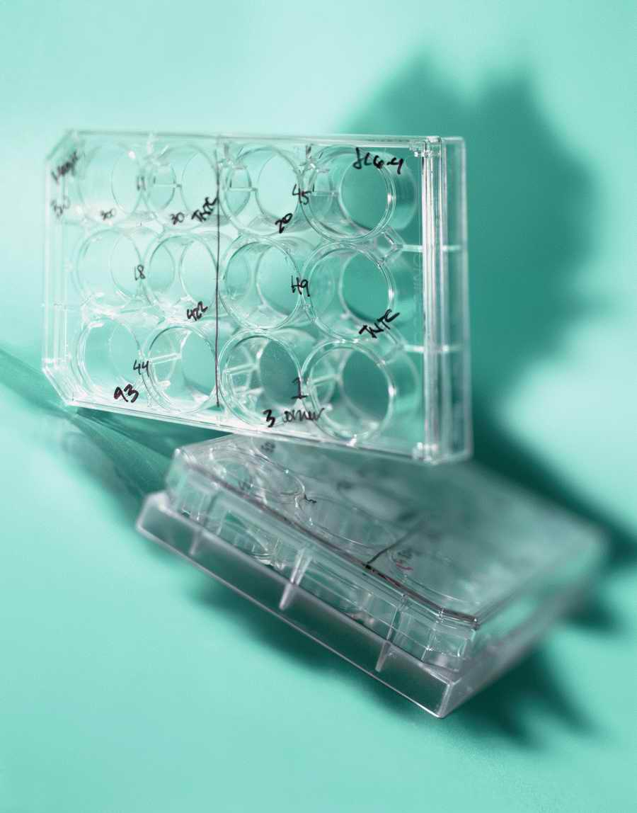 Professional Science - Photodisc ></a>
<script language=JavaScript> 
  var txt = 