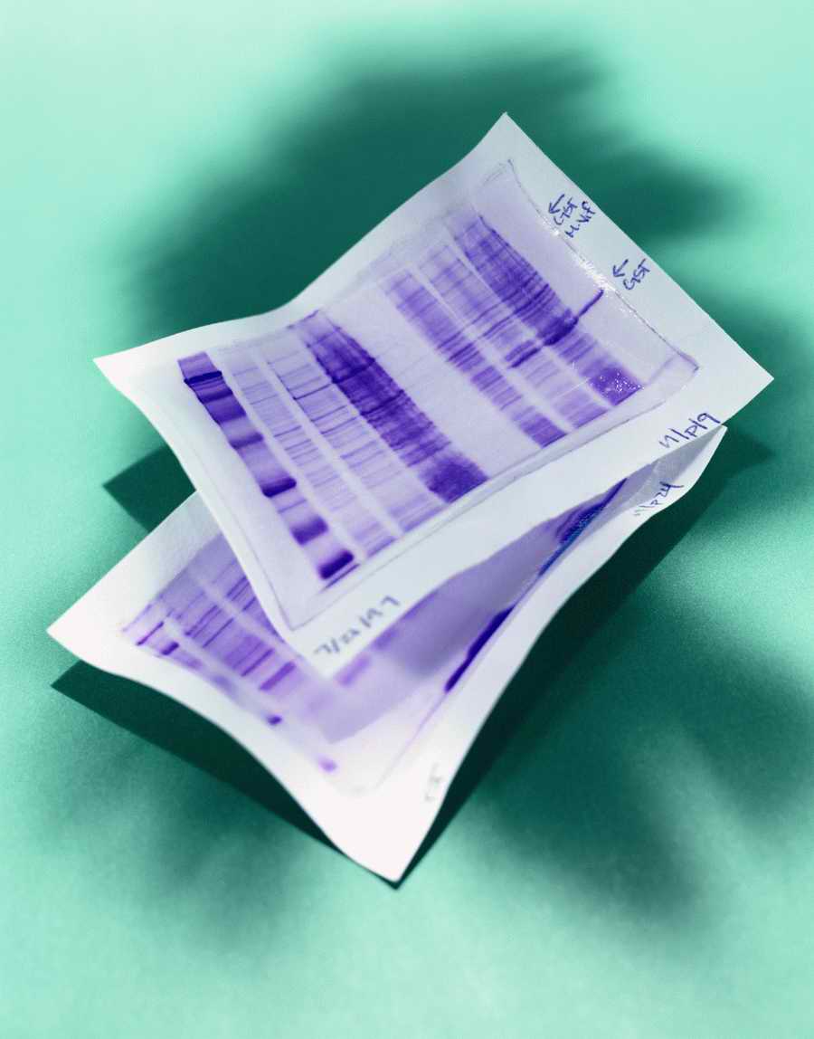 Professional Science - Photodisc ></a>
<script language=JavaScript> 
  var txt = 