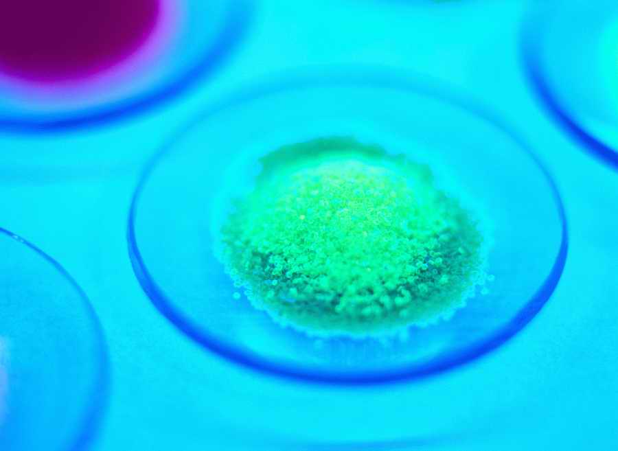 Professional Science - Photodisc ></a>
<script language=JavaScript> 
  var txt = 