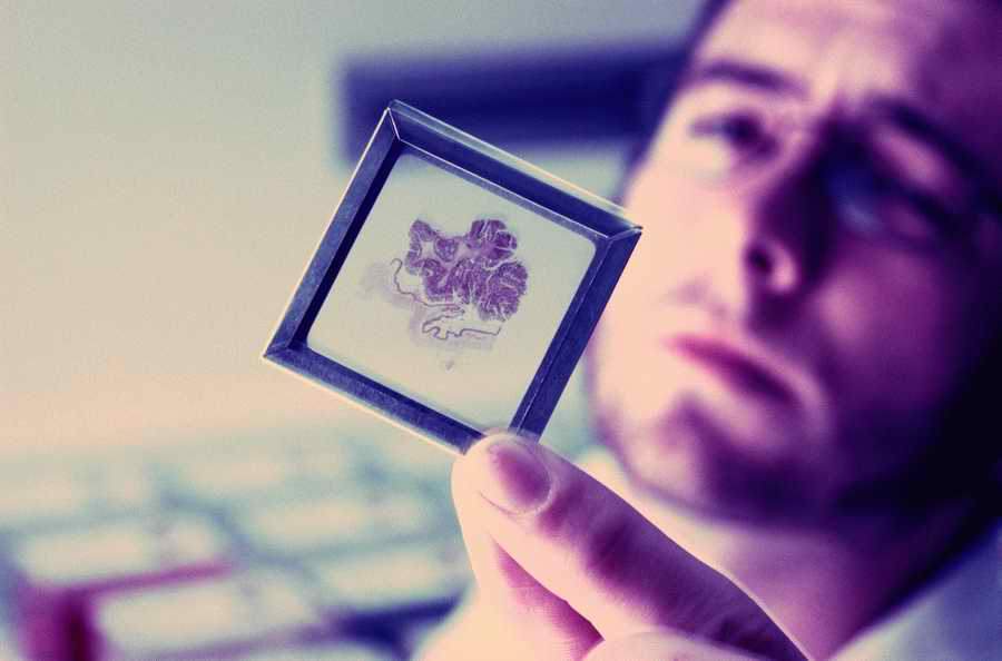 Professional Science - Photodisc ></a>
<script language=JavaScript> 
  var txt = 