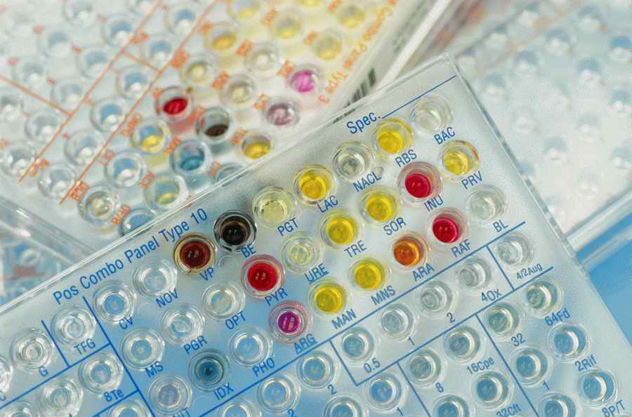 Professional Science - Photodisc ></a>
<script language=JavaScript> 
  var txt = 
