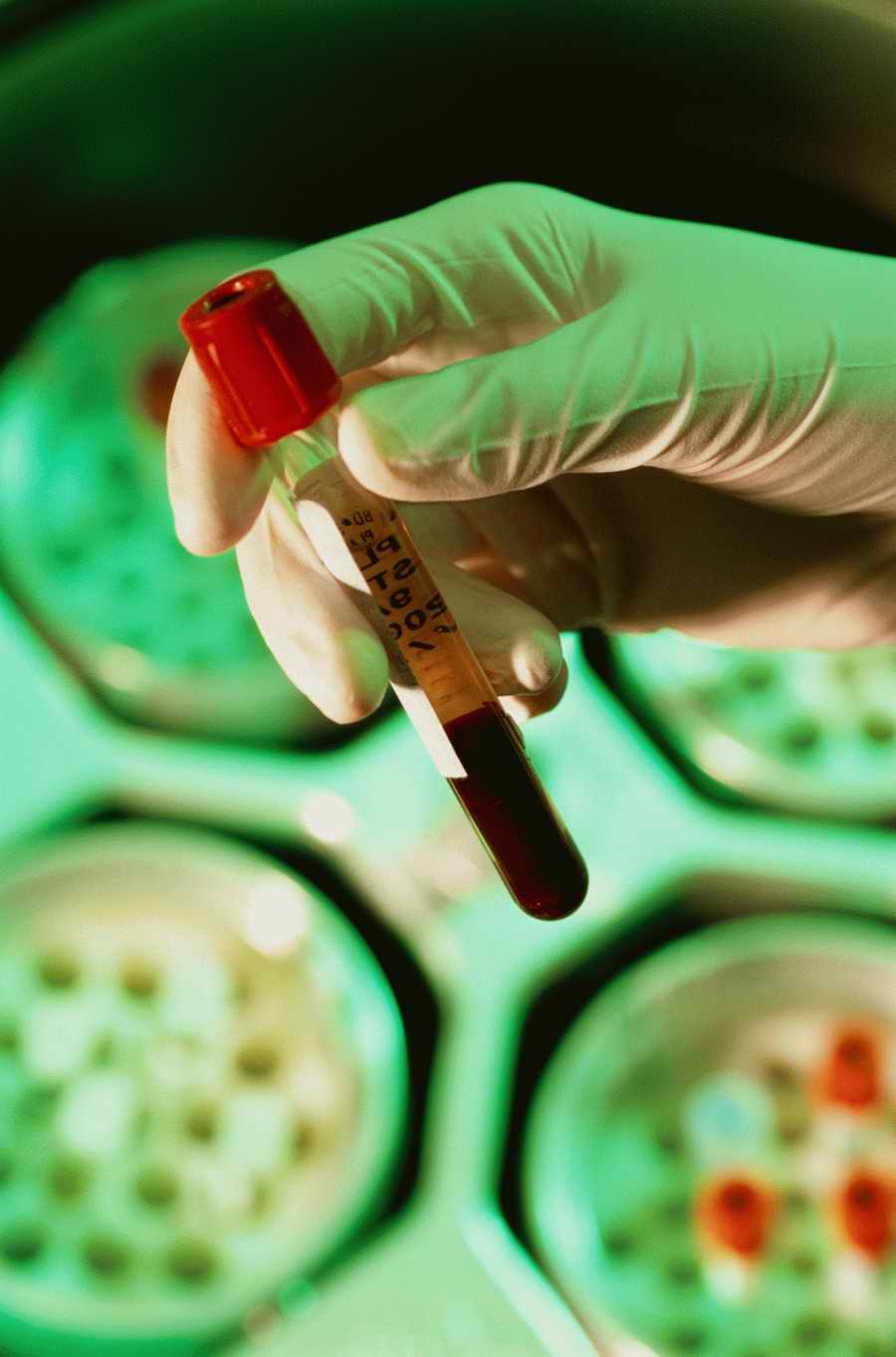 Professional Science - Photodisc ></a>
<script language=JavaScript> 
  var txt = 