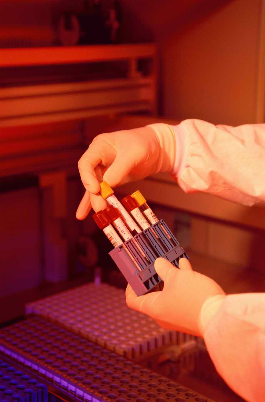 Professional Science - Photodisc ></a>
<script language=JavaScript> 
  var txt = 