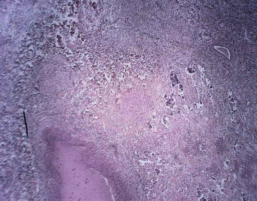 Professional Science - Photodisc ></a>
<script language=JavaScript> 
  var txt = 