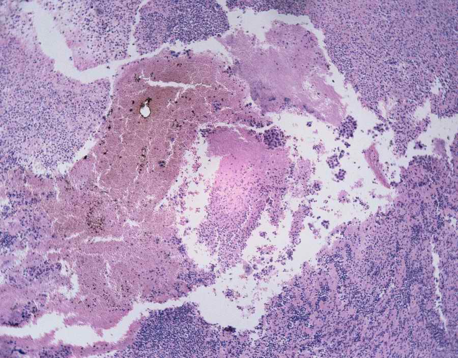 Professional Science - Photodisc ></a>
<script language=JavaScript> 
  var txt = 