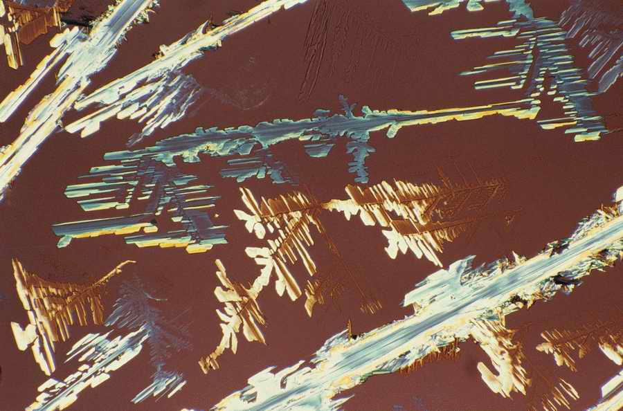 Professional Science - Photodisc ></a>
<script language=JavaScript> 
  var txt = 