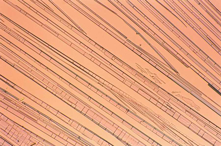 Professional Science - Photodisc ></a>
<script language=JavaScript> 
  var txt = 