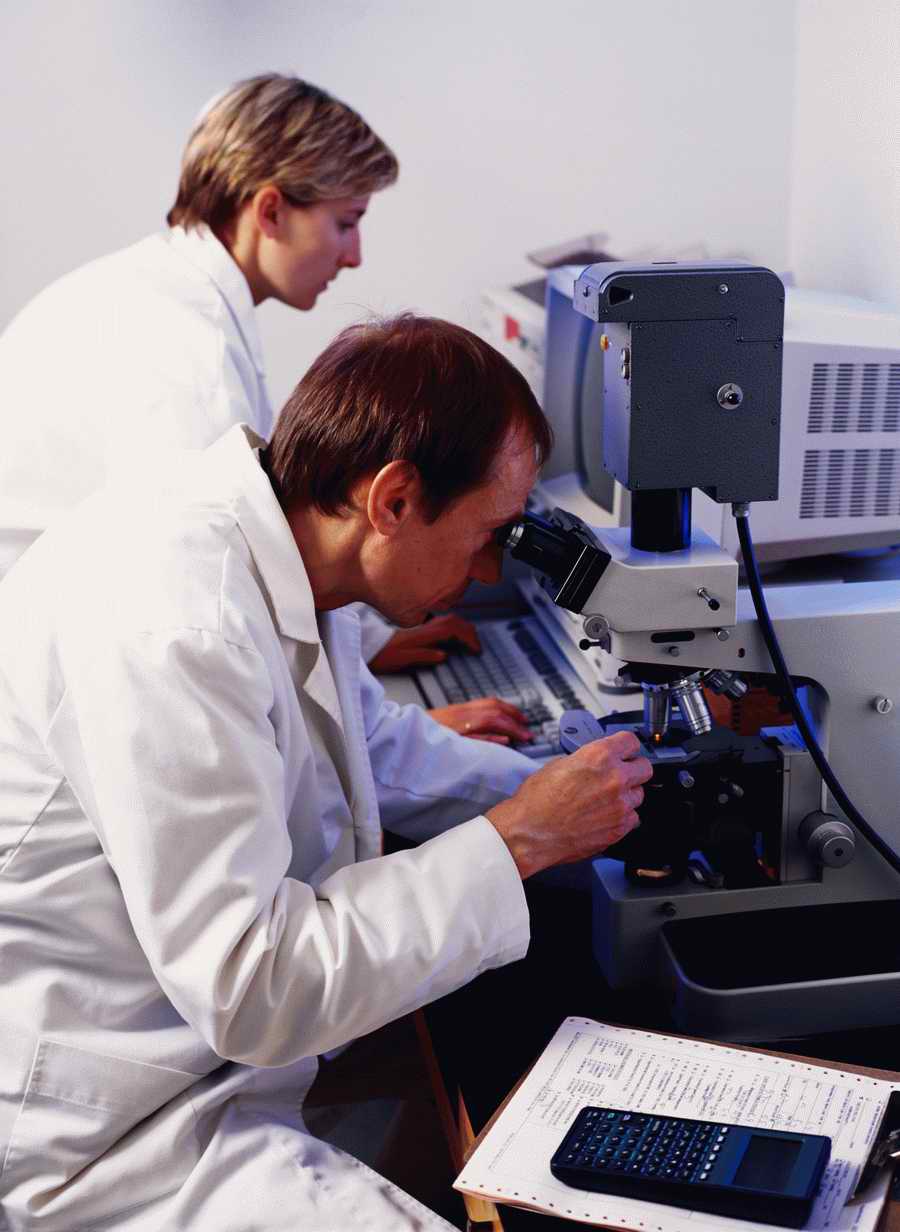 Professional Science - Photodisc ></a>
<script language=JavaScript> 
  var txt = 