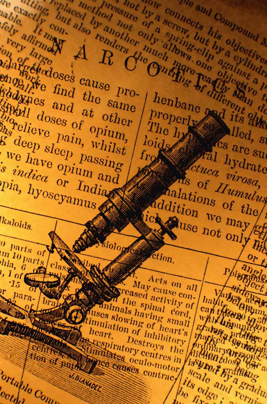 Professional Science - Photodisc ></a>
<script language=JavaScript> 
  var txt = 