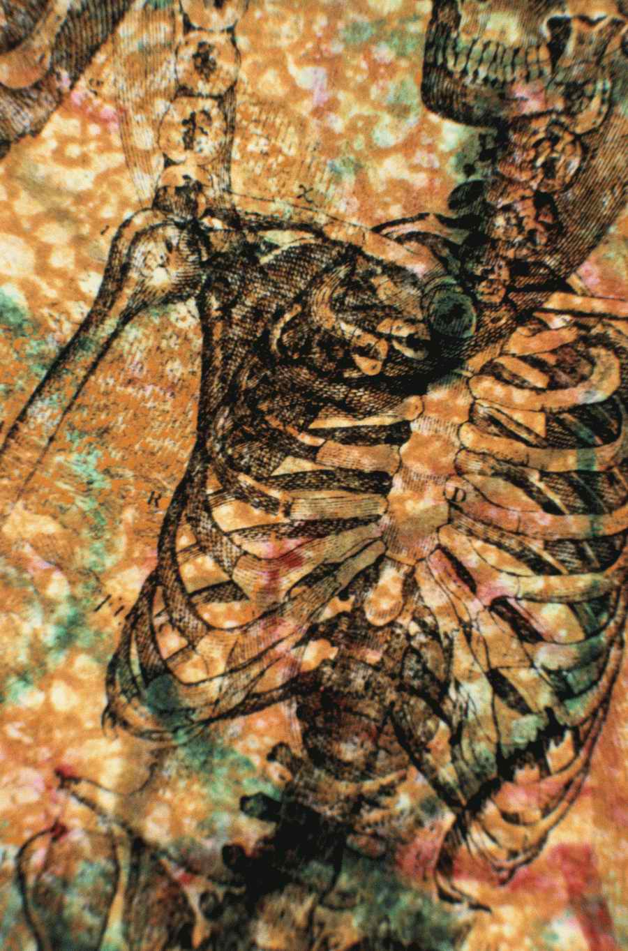 Professional Science - Photodisc ></a>
<script language=JavaScript> 
  var txt = 