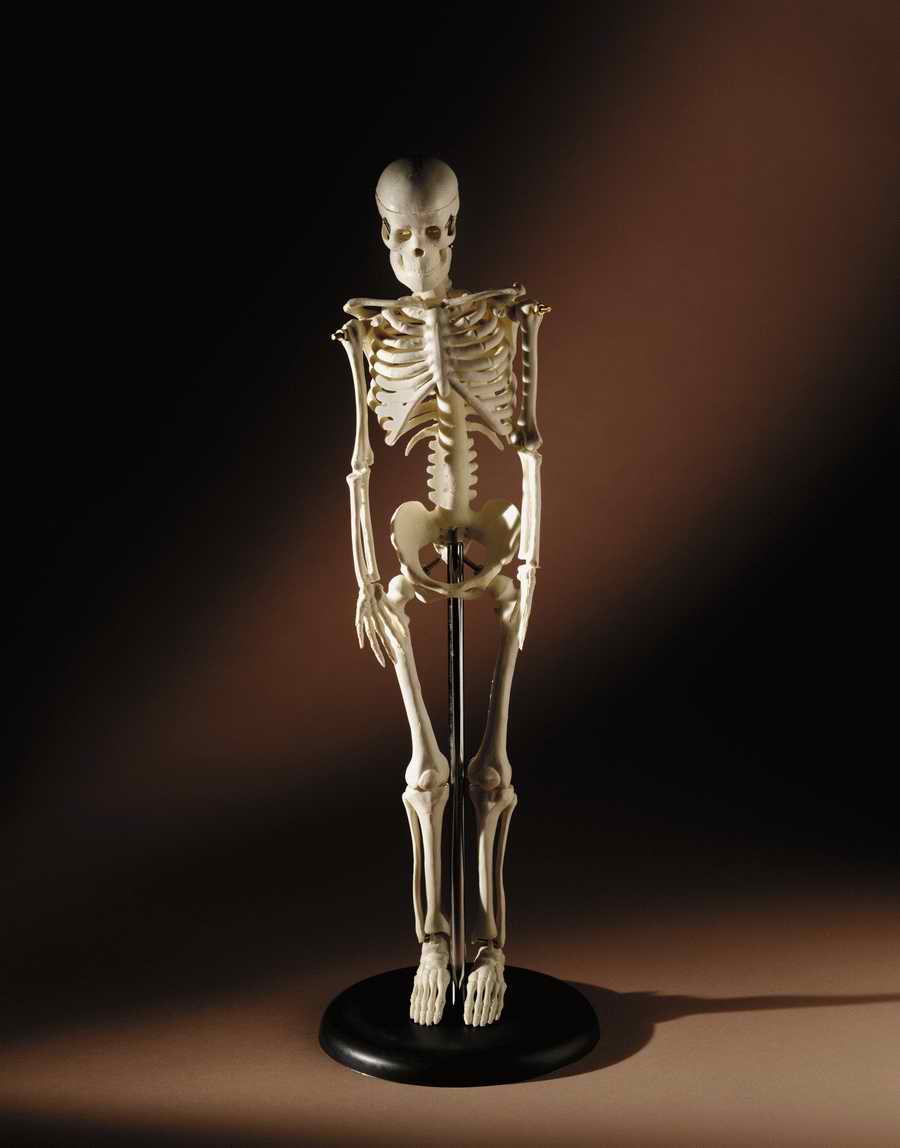 Professional Science - Photodisc ></a>
<script language=JavaScript> 
  var txt = 