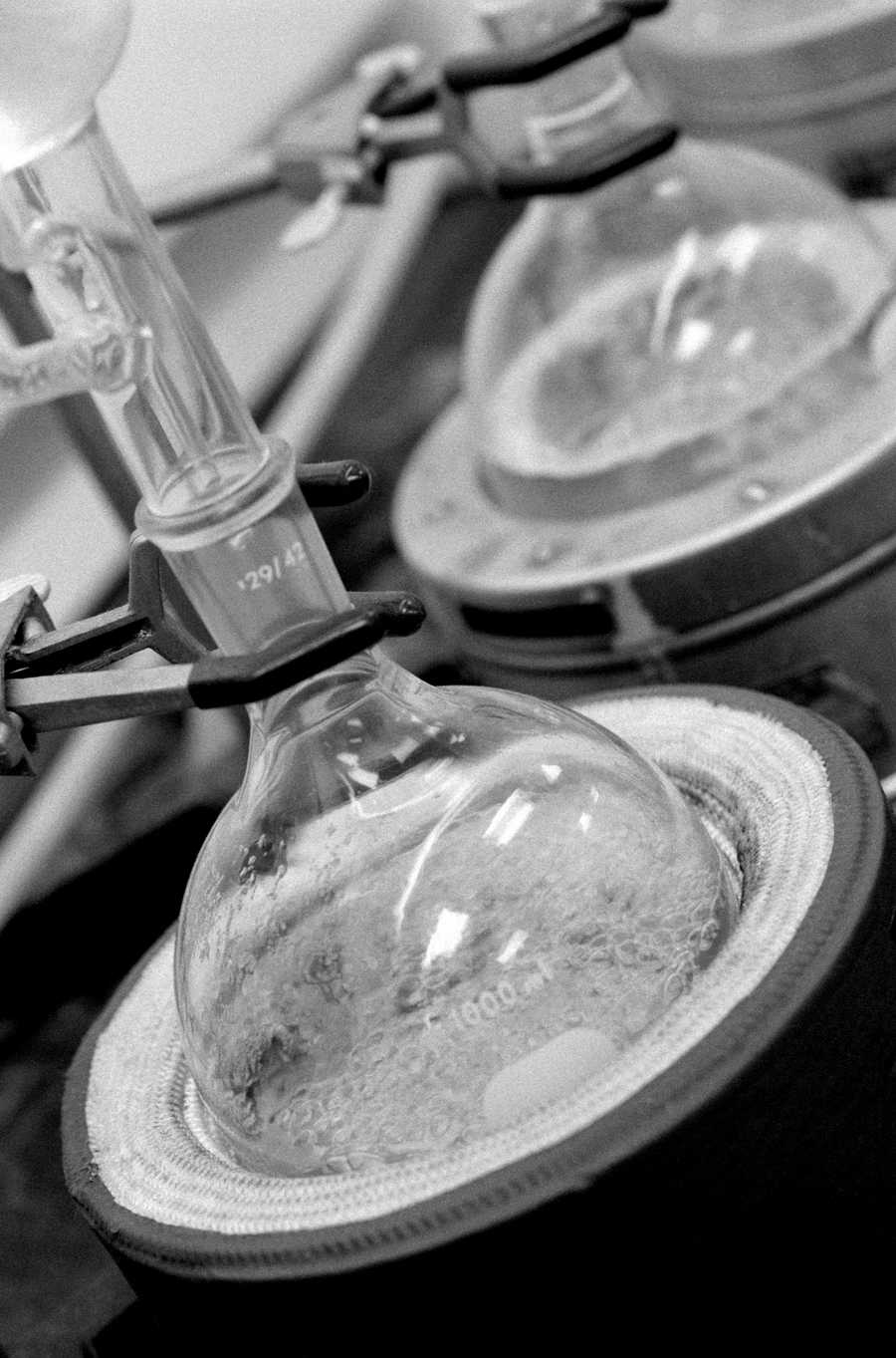 Professional Science - Photodisc ></a>
<script language=JavaScript> 
  var txt = 