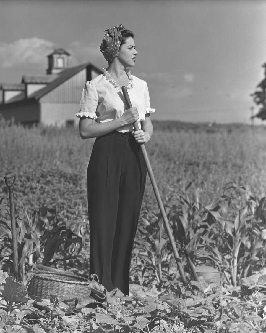 Retro Americana - Photodisc ></a>
<script language=JavaScript> 
  var txt = 