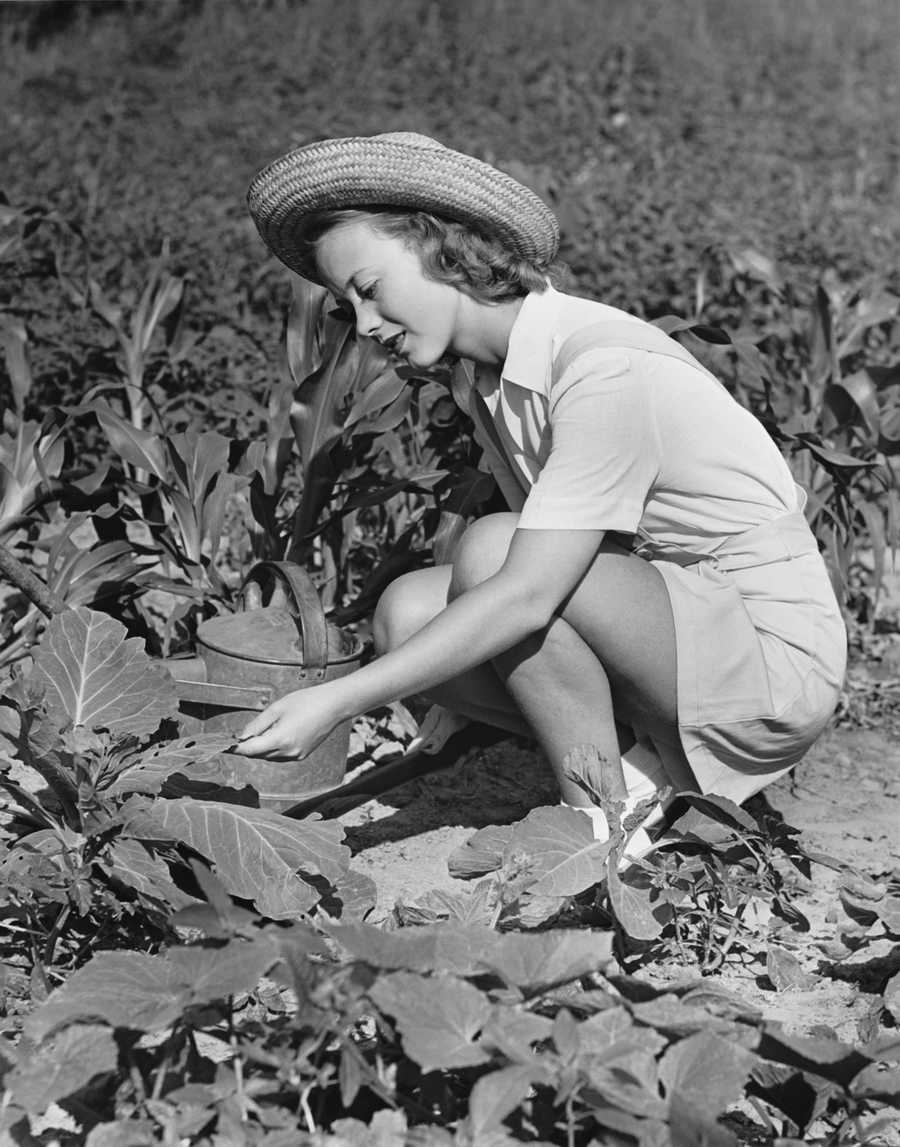 Retro Americana 2 - Photodisc ></a>
<script language=JavaScript> 
  var txt = 