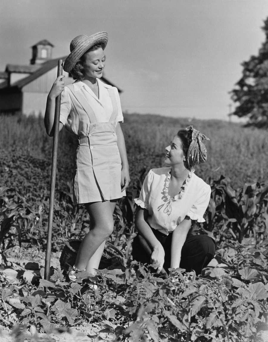 Retro Americana 2 - Photodisc ></a>
<script language=JavaScript> 
  var txt = 