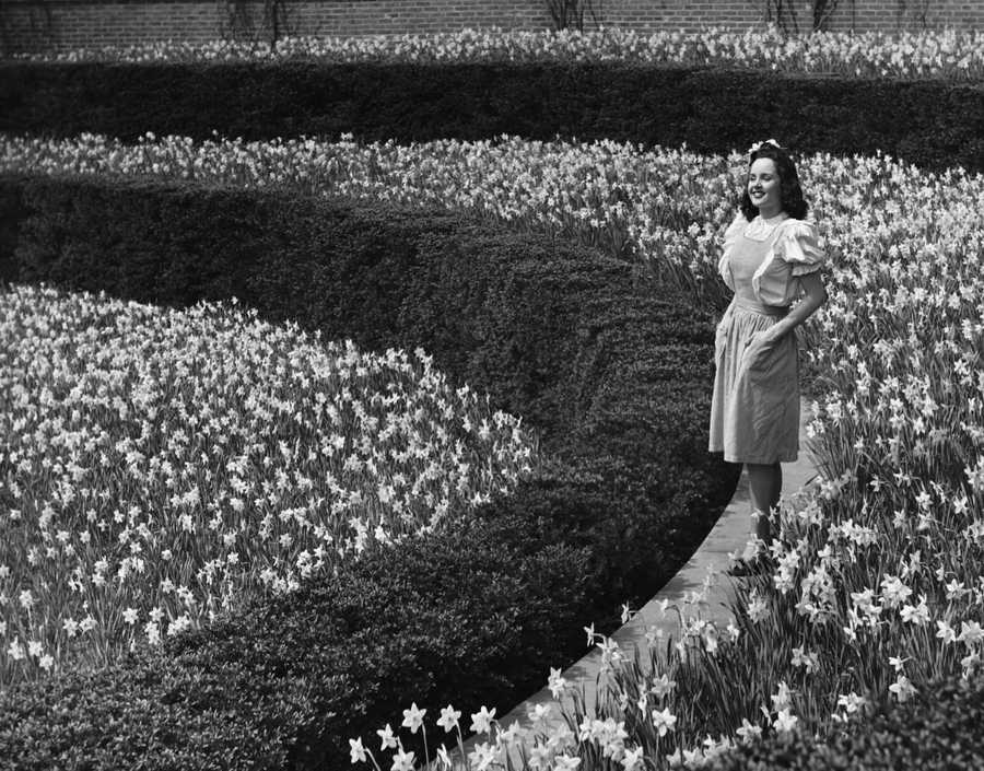 Retro Americana 2 - Photodisc ></a>
<script language=JavaScript> 
  var txt = 