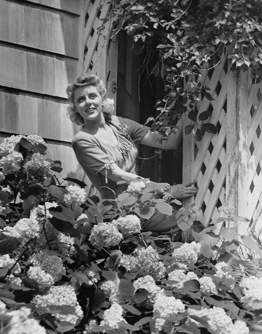 Retro Americana 2 - Photodisc ></a>
<script language=JavaScript> 
  var txt = 